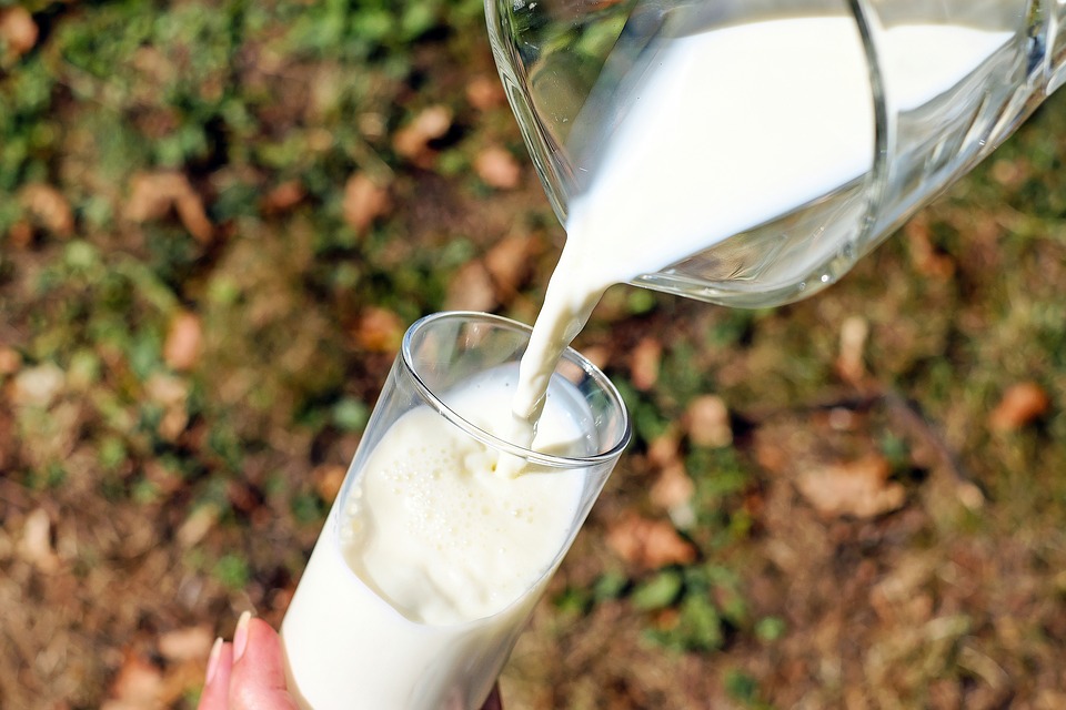 В Україні запрацює нову система контролю якості сирого молока